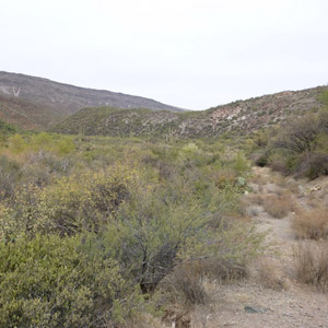 Photograph of Cave Creek