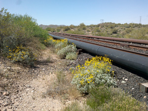 Photo of railway with above ground water pipeline