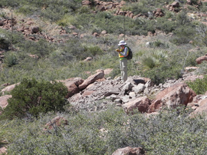 Photo of person with clipboard doing field survey