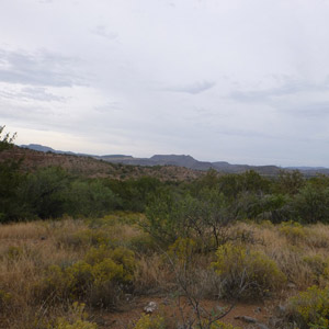 Photograph of Tangle Creek