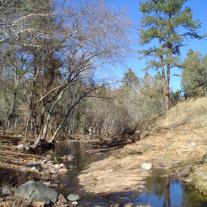 Photograph of Turkey Creek land exchange parcel