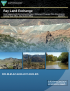 Thumbnail image of Final Environmental Impact Statement: Ray Land Exchange/Plan Amendment document cover