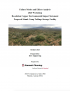 Thumbnail image of Failure Modes and Effects Analysis 2020 Workshop: Resolution Copper Environmental Impact Statement, Proposed Skunk Camp Tailings Storage Facility report cover