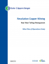 Thumbnail image of Resolution Copper Mining Near West Tailings Management Mine Plan of Operations Study report cover