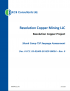Thumbnail image of Skunk Camp TSF Seepage Assessment report cover