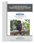 Thumbnail image of 2016 Raptor Survey Report cover with photo of small raptor sitting on branch