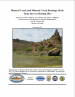 Thumbnail image of Mineral Creek and Mineral Creek Drainage Stock Tank Surveys During 2013 document cover