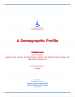 Thumbnail image of A Demographic Profile: Superior Town, Arizona; Pinal County, Arizona; Graham County, Arizona; Gila County, Arizona report cover