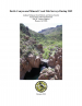 Thumbnail image of Devils Canyon and Mineral Creek Fish Surveys cover