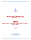 Thumbnail image of A Demographic Profile: Superior Town, Arizona; Pinal County, Arizona; Graham County, Arizona; Gila County, Arizona report cover