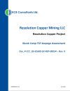 Thumbnail image of Skunk Camp TSF Seepage Assessment report cover