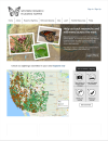 Thumbnail image of Wester Monarch Milkweed Mapper website with photos of Monarch butterflies