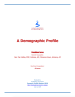 Thumbnail image of A Demographic Profile: San Tan Valley, Arizona; Florence, Arizona report cover