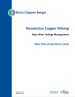 Thumbnail image of Resolution Copper Mining Near West Tailings Management Mine Plan of Operations Study report cover