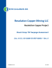 Thumbnail image of Skunk Camp TSF Seepage Assessment report cover