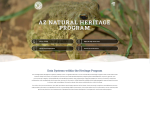 Thumbnail image of Arizona Natural Heritage Program Species Abstracts website with photo of toad
