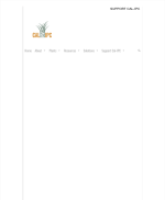 Thumbnail image of Cal-IPC Carrichtera annua webpage