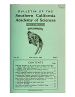 Thumbnail image of Two New Land Snails from Arizona bulletin front cover