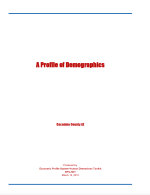 Thumbnail image of A Profile of Demographics report cover