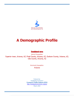 Thumbnail image of A Demographic Profile: Superior Town, Arizona; Pinal County, Arizona; Graham County, Arizona; Gila County, Arizona report cover