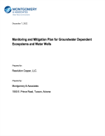 Thumbnail image of Monitoring and Mitigation Plan for Groundwater Dependent Ecosystems and Water Wells report cover