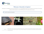 Thumbnail image of NatureServe Species Profiles website