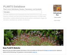 Thumbnail image of Plants Database website