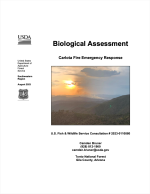 Thumbnail image of Biological Assessment: Carlota Fire Emergency Response report cover with photo of distant wildfire