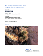 Thumbnail image of Post-Telegraph Fire Assessment of Arizona Hedgehog Cacti near Superior, Arizona report cover with photo of partially burned hedgehog cactus