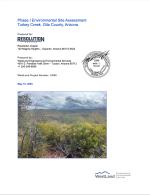 Thumbnail image of Phase I Environmental Site Assessment, Turkey Creek, Gila County, Arizona report cover with photo of desert landscape