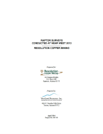 Thumbnail image of Raptor Surveys Conducted at Near West 2013 report cover