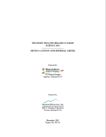Thumbnail image of Western Yellow-Billed Cuckoo Survey 2011 report cover