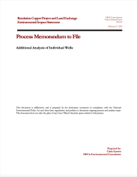Thumbnail image of Additional Analysis of Individual Wells memo cover