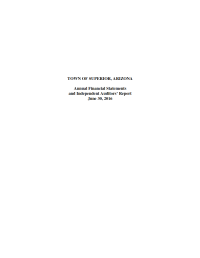Thumbnail image of Auditor's Report cover