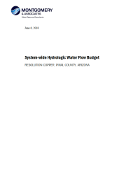 Thumbnail image of System-wide Hydrologic Water Flow Budget document cover
