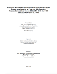 Thumbnail image of Biological Assessment for the Proposed Resolution Copper Project near Superior in Pinal and Gila Counties, Arizona Consultation Codes: 02EAAZ00-2020-SLI-0104 and 02EAAZ00-2020-SLI-0553 report cover