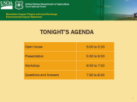 Thumbnail image of the Alternative Development Workshop cover presentation slides 