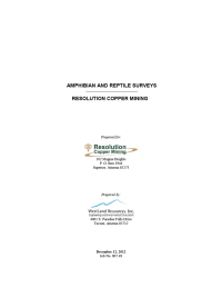 Thumbnail image of Amphibian and Reptile Surveys report cover