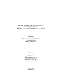 Thumbnail image of Raptor Survey and 2008 Bird Census report cover