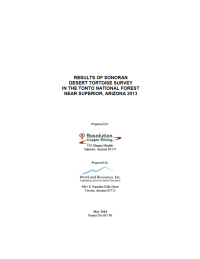 Thumbnail image of Sonoran Desert Tortoise Survey Results report cover