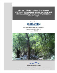 Thumbnail image of 2016 Yellow-Billed Cuckoo Survey Whitlow Ranch Dam, Devils Canyon, and Mineral Creek, Pinal County, Arizona with photo of green riparian habitat