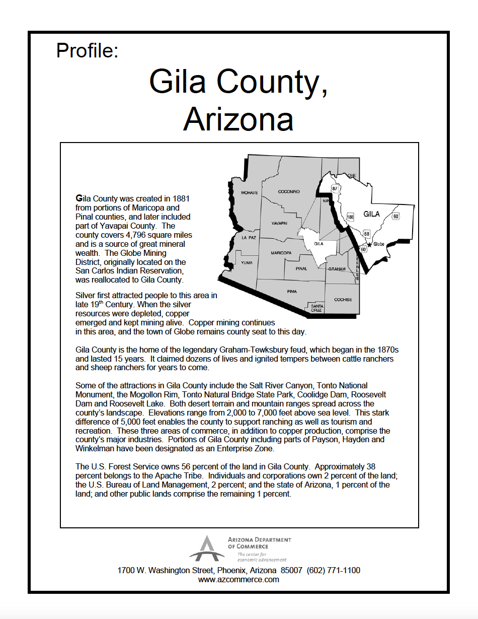 Thumbnail image of document cover: Community Profile - Gila County