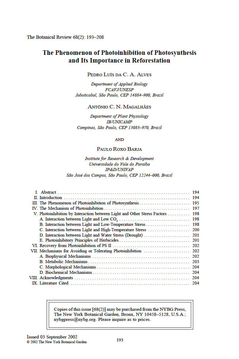 Thumbnail image of document cover: The Phenomenon of Photoinhibition of Photosynthesis and its Importance in Reforestation