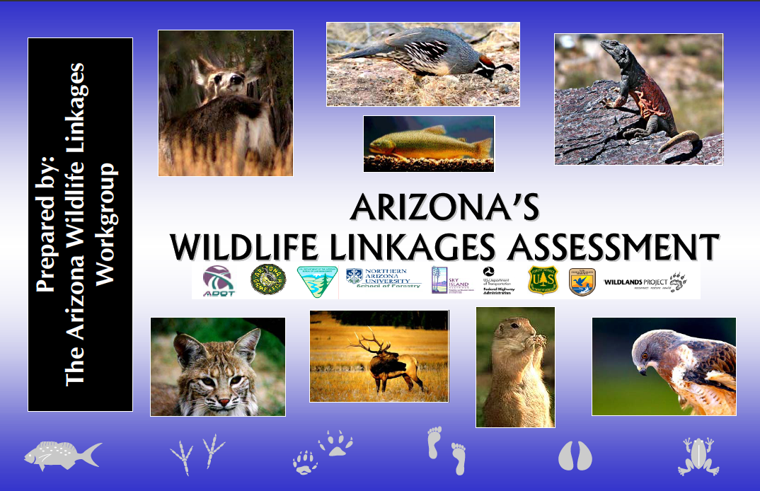 Thumbnail image of document cover: Arizona's Wildlife Linkages Assessment