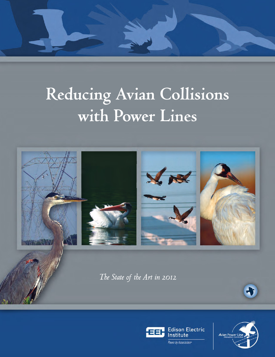 Thumbnail image of document cover: Reducing Avian Collisions with Power Lines: The State of the Art in 2012