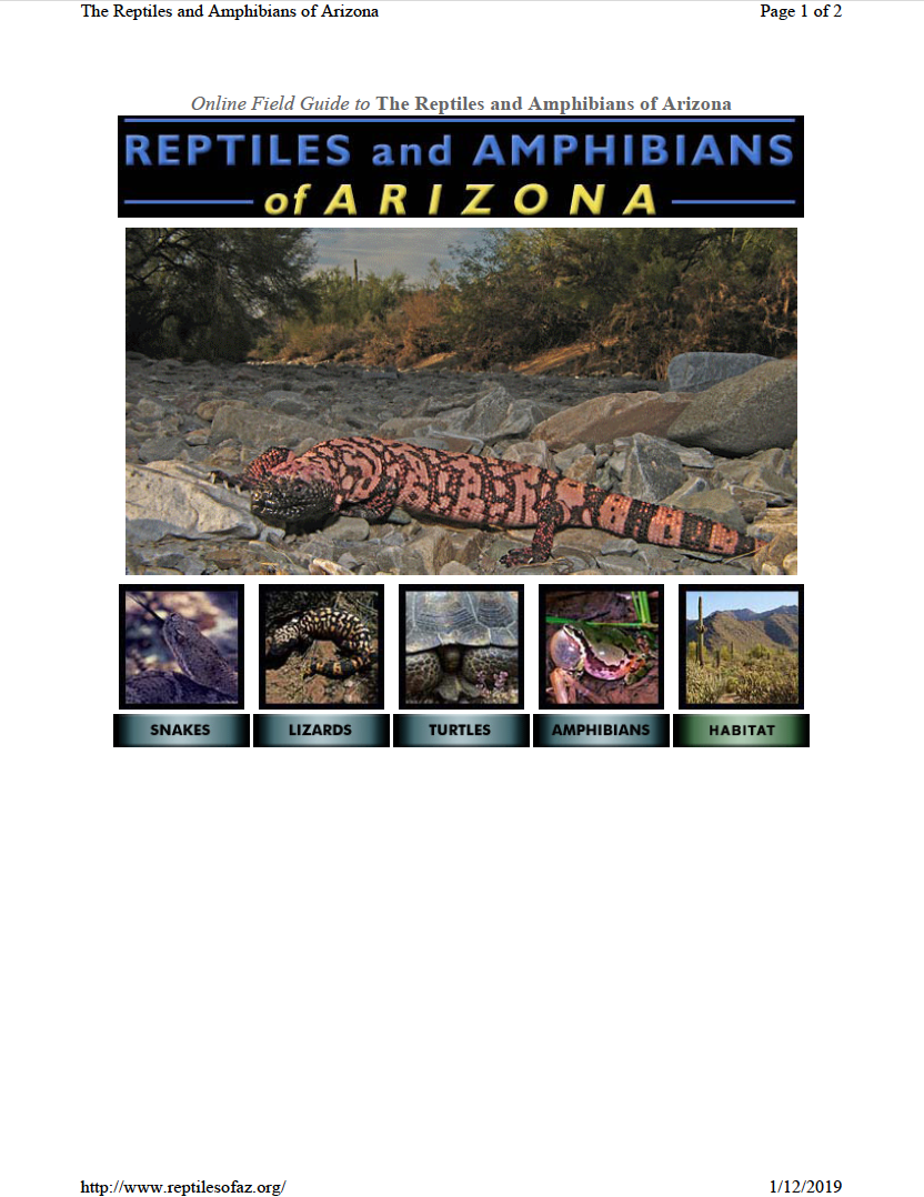 Thumbnail image of document cover: Reptiles and Amphibians of Arizona