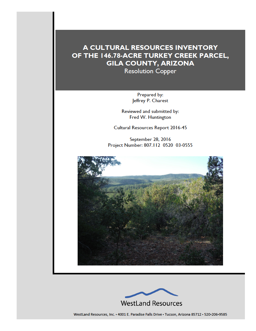 Thumbnail image of document cover: A Cultural Resources Inventory of the 146.78-Acre Turkey Creek Parcel, Gila County, Arizona