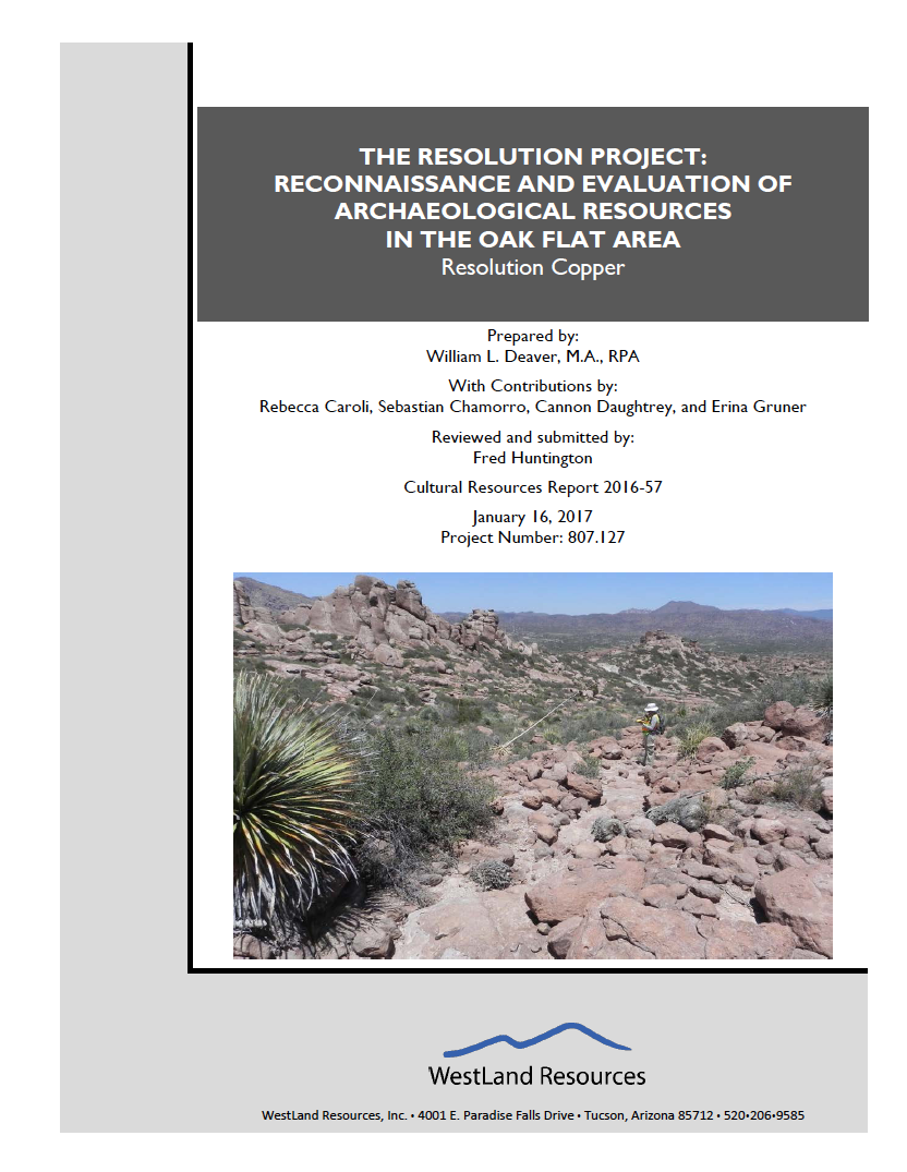 Thumbnail image of document cover: The Resolution Project: Reconnaissance and Evaluation of Archaeological Resources in the Oak Flat Area