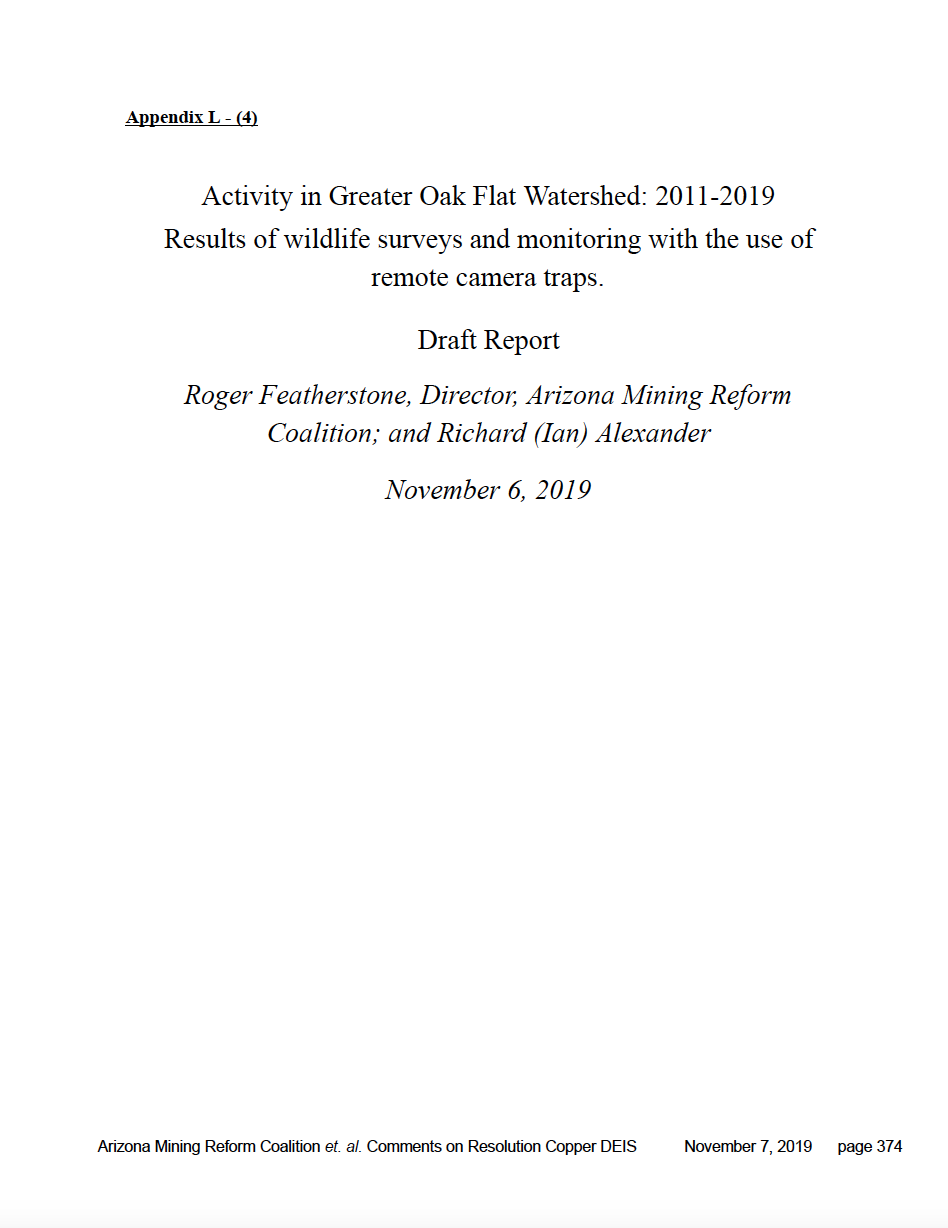 Thumbnail image of document cover: Activity in Greater Oak Flat Watershed: 2011-2019