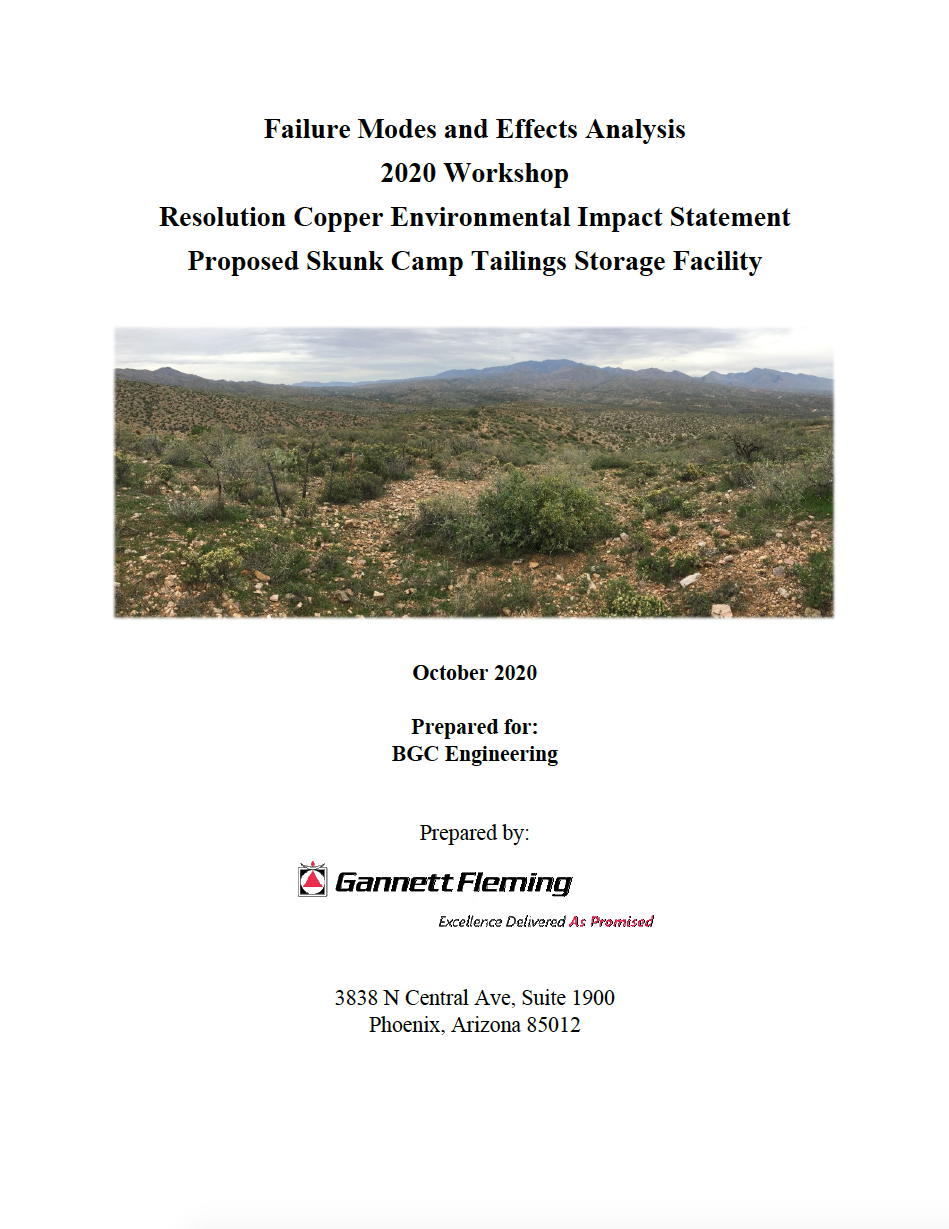 Thumbnail image of document cover: Failure Modes and Effects Analysis 2020 Workshop: Resolution Copper Environmental Impact Statement, Proposed Skunk Camp Tailings Storage Facility